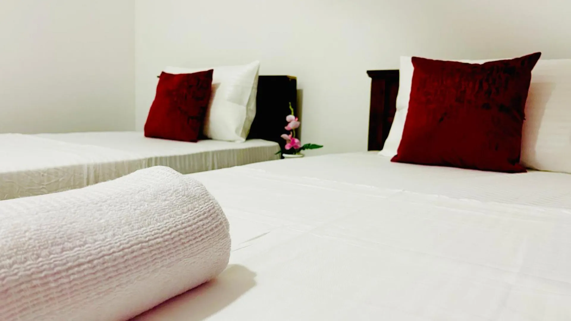 Sleepy Heaven Negombo 호텔 스리랑카