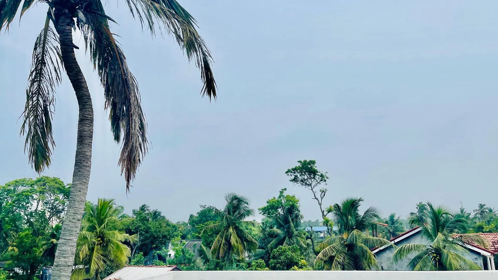 Sleepy Heaven Negombo 호텔 0*,  스리랑카
