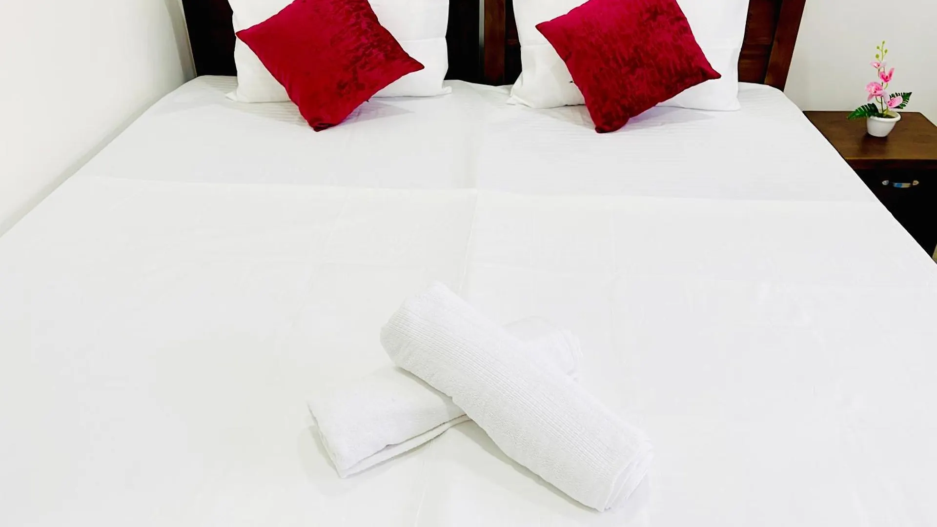 Sleepy Heaven Negombo 호텔 게스트하우스