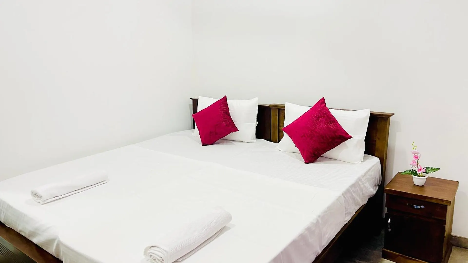 Sleepy Heaven Negombo 호텔 게스트하우스