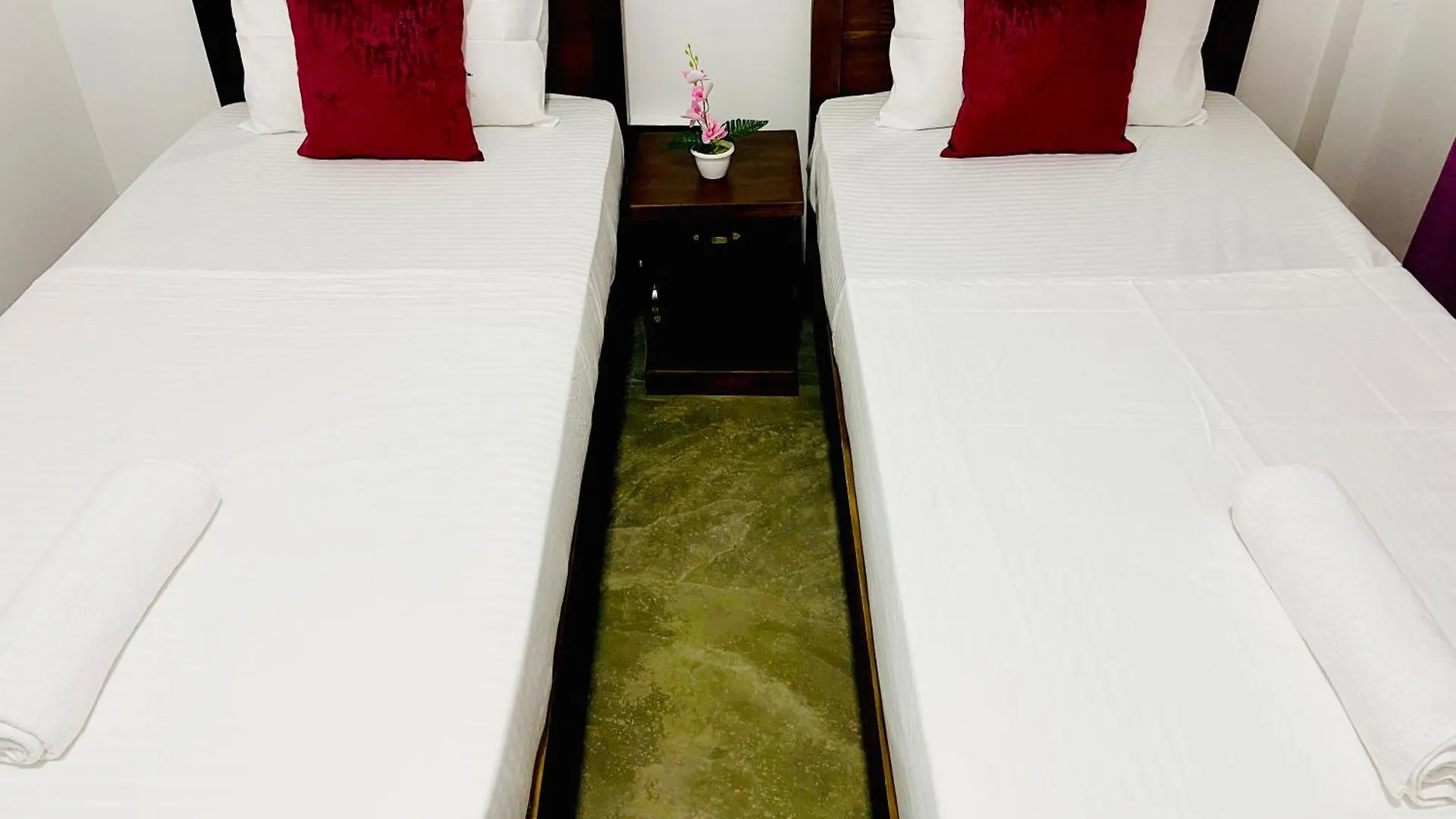 게스트하우스 Sleepy Heaven Negombo 호텔 스리랑카